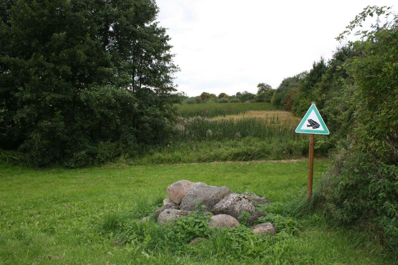 Landpension Zum Schweizerberg Neugrimnitz Exterior photo
