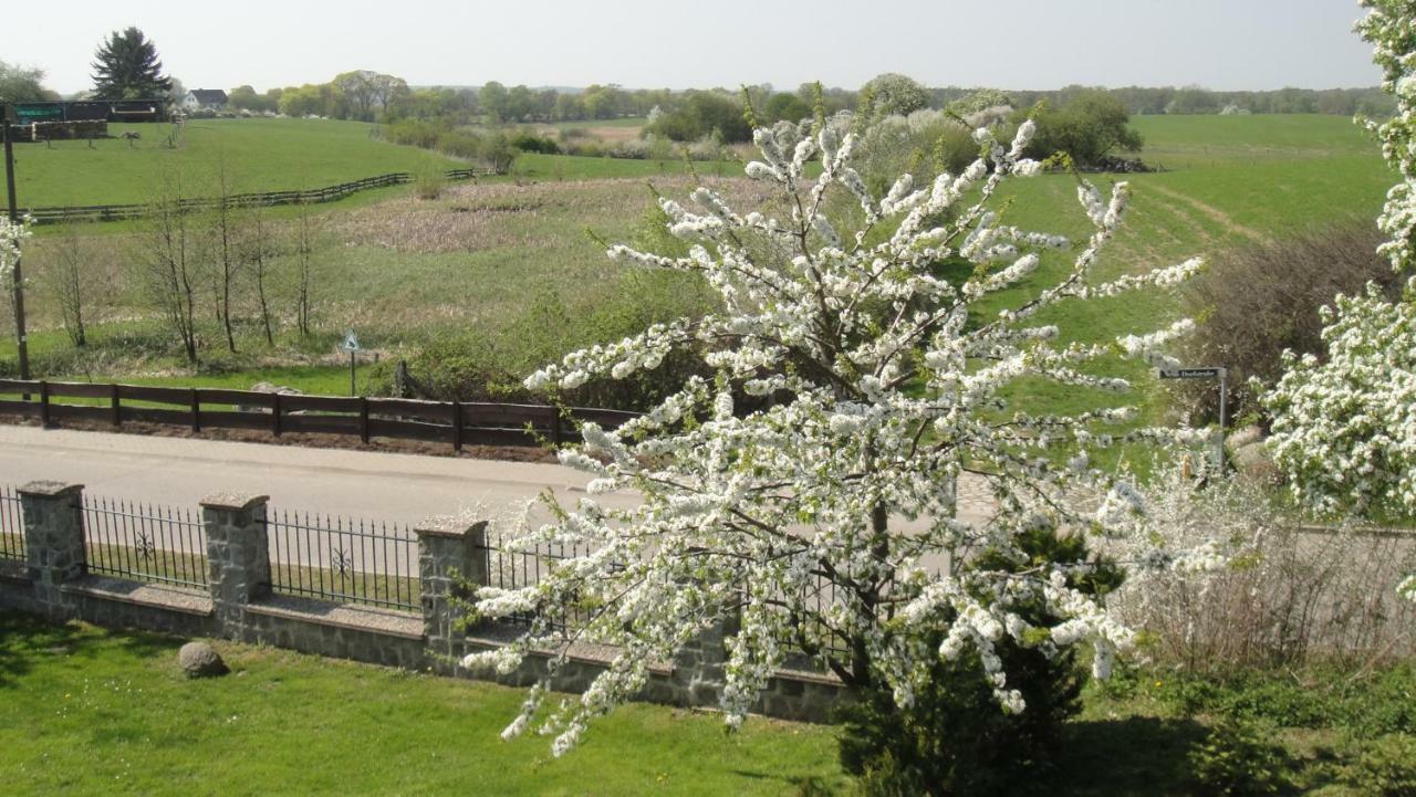 Landpension Zum Schweizerberg Neugrimnitz Exterior photo